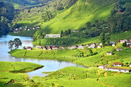 Munnar Packages